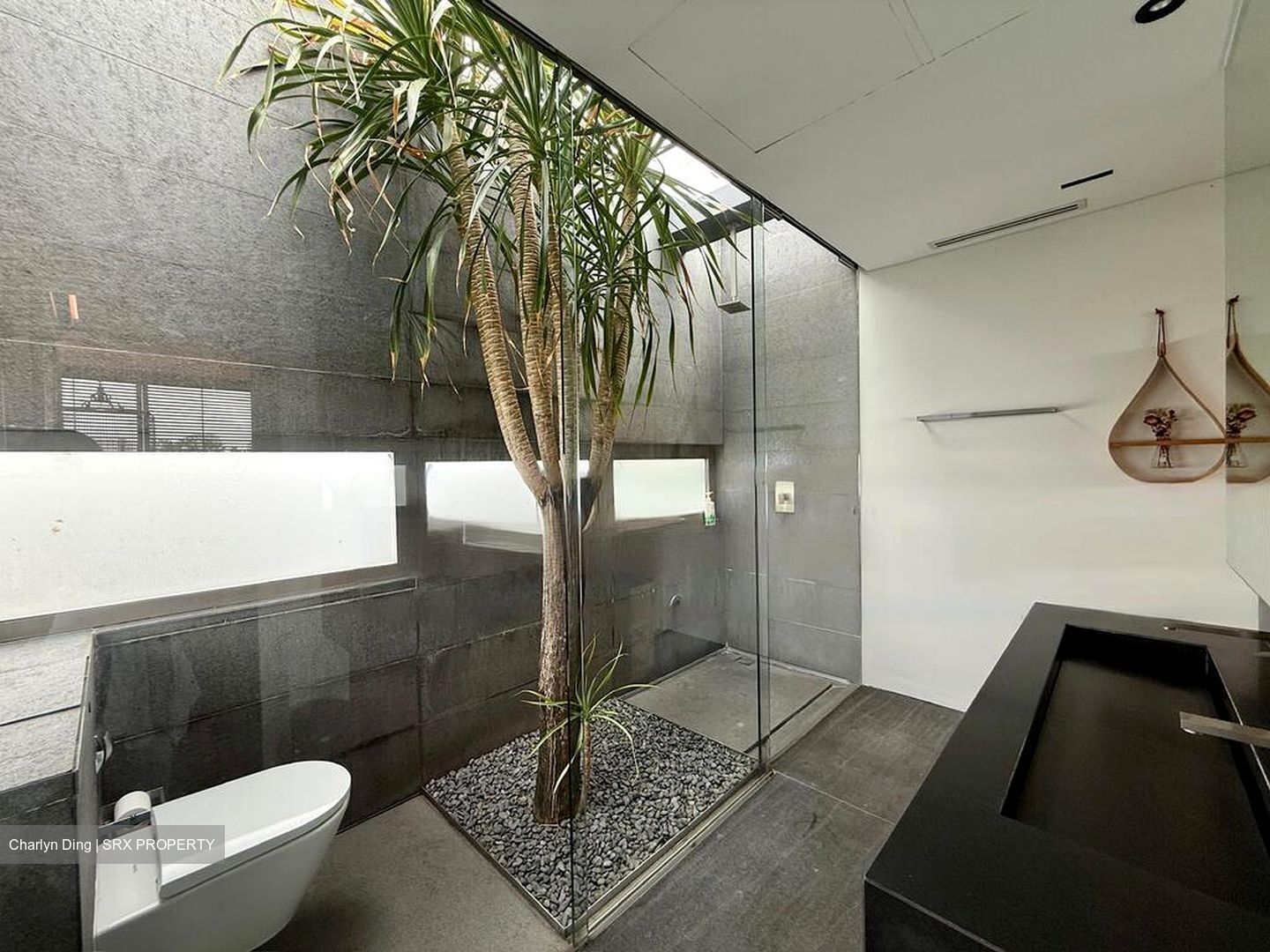 Braddell Heights Estate (D13), Detached #489599891